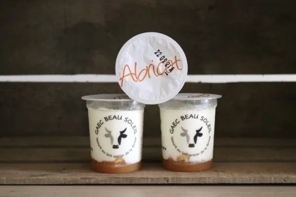 Yaourt fermier Abricot 125g